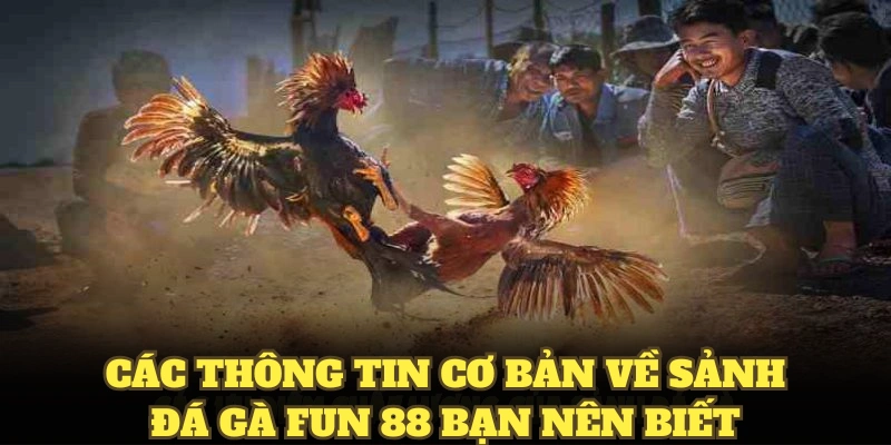 Các thông tin cơ bản về sảnh đá gà Fun88 bạn nên biết