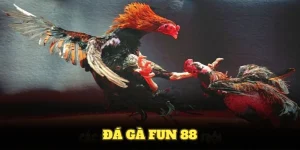 Đá Gà Fun88 Và Những Hình Thức Cá Cược Đáng Thử Nhất 2025