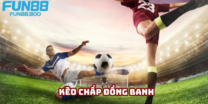 Cược đồng banh tương đối đơn giản