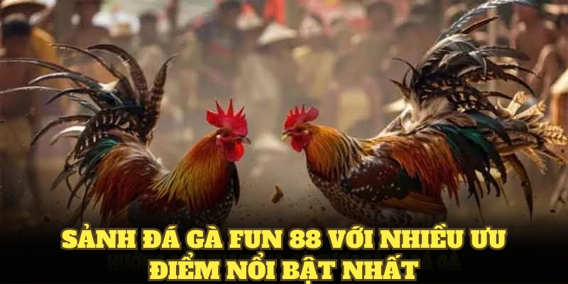 Sảnh đá gà Fun88 với nhiều ưu điểm nổi bật nhất